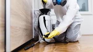 Best Residential Pest Control  in Hibbing, MN